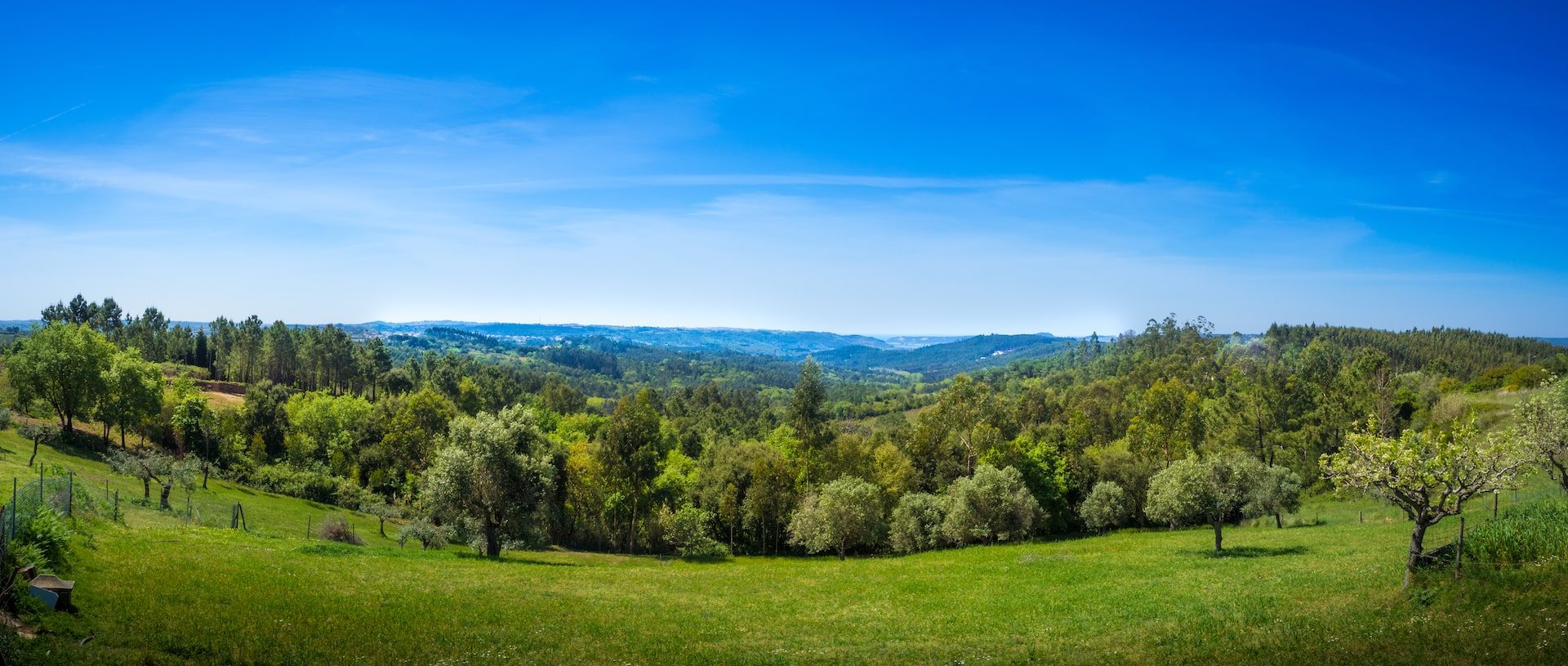 art-rural-landscape-field-and-grass-summer-time-in-country-side-min